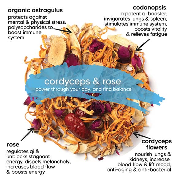 cordyceps & rose tea - qisane