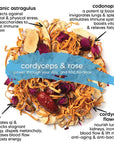 cordyceps & rose tea - qisane