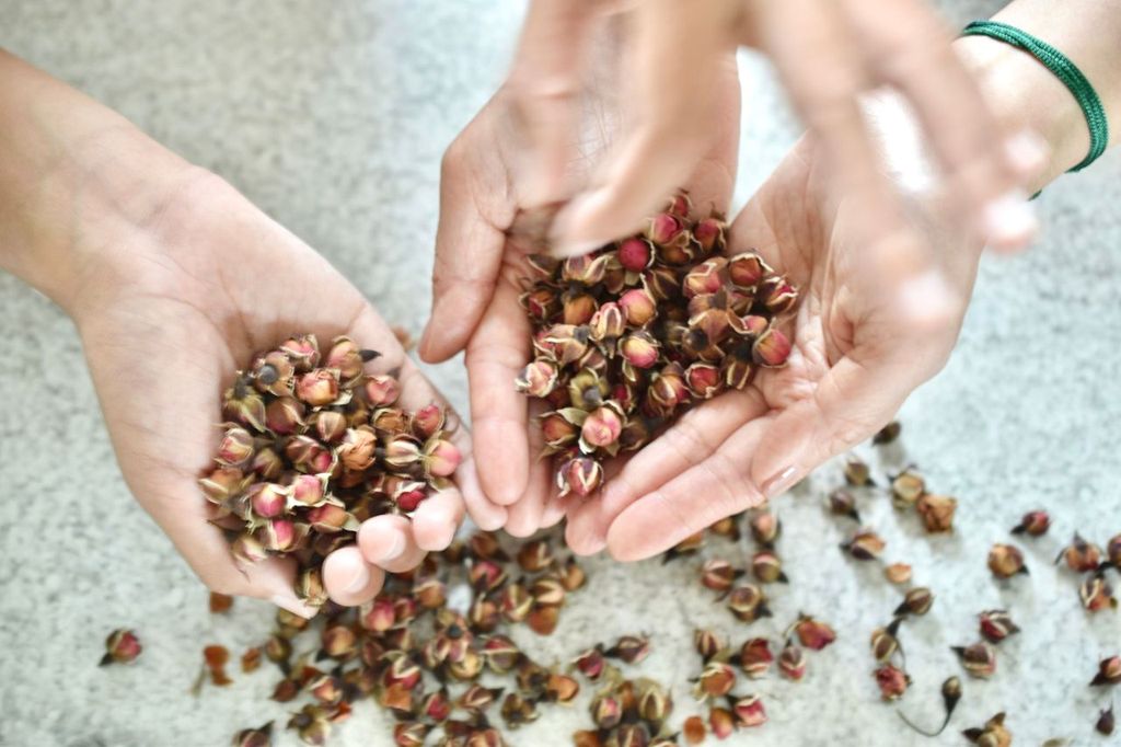 health benefits of teas and tisanes