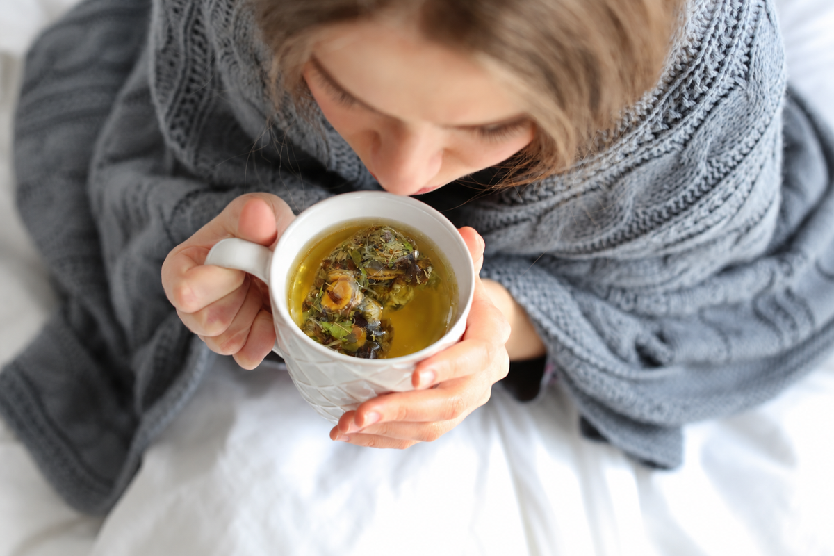 Post-Illness Herbal Tea Recovery: How to Gently Rebuild After Being Sick